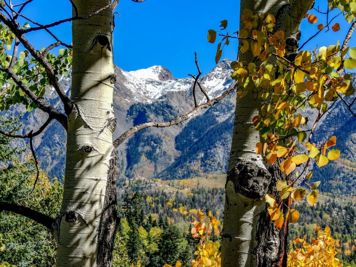 Cascade Village 301, Durango Co Exteriör bild